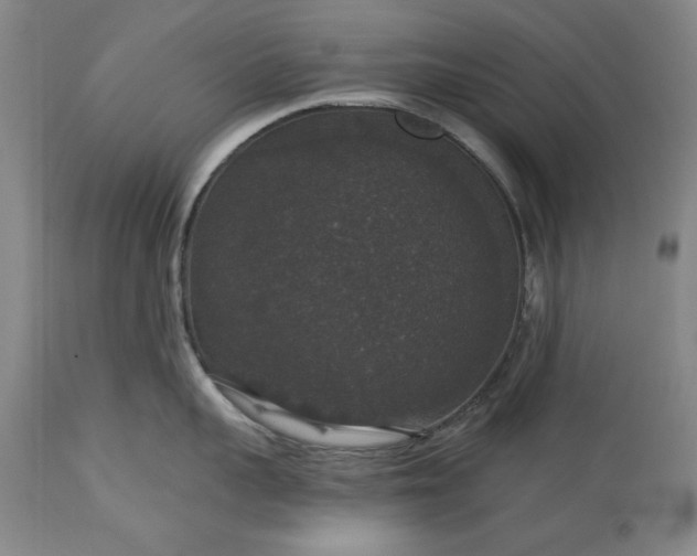 X0000113550959200910021527