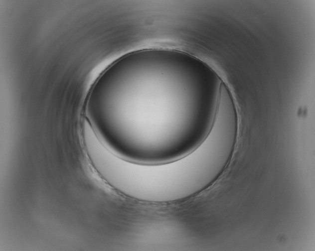 X0000113550960200910021527