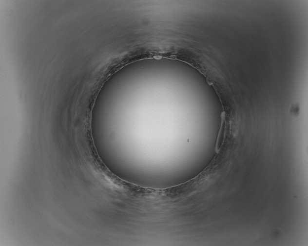 X0000113550961200910021526