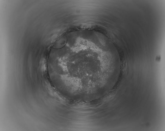 X0000113550962200910021526