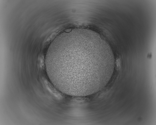 X0000113550963200910021526