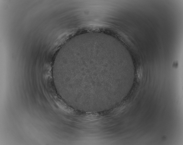 X0000113550964200910021526