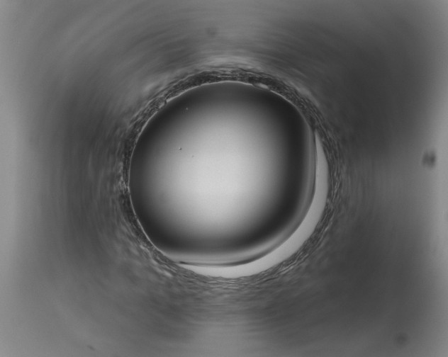 X0000113550965200910021526