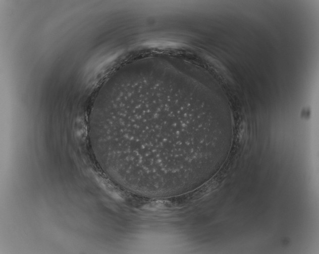 X0000113550966200910021526