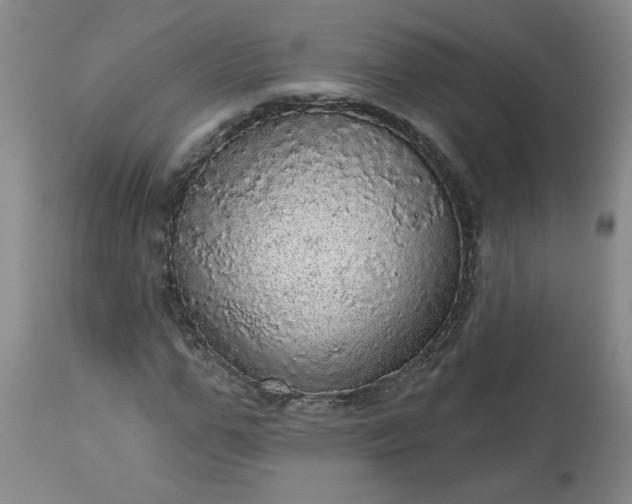 X0000113550967200910021526