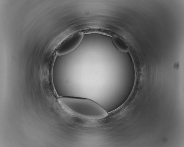 X0000113550969200910021526