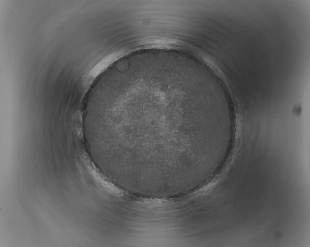 X0000113550970200910021526