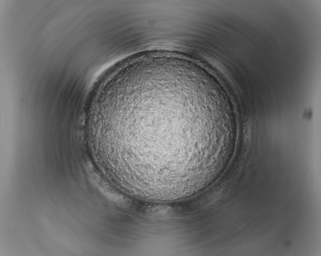 X0000113550971200910021526