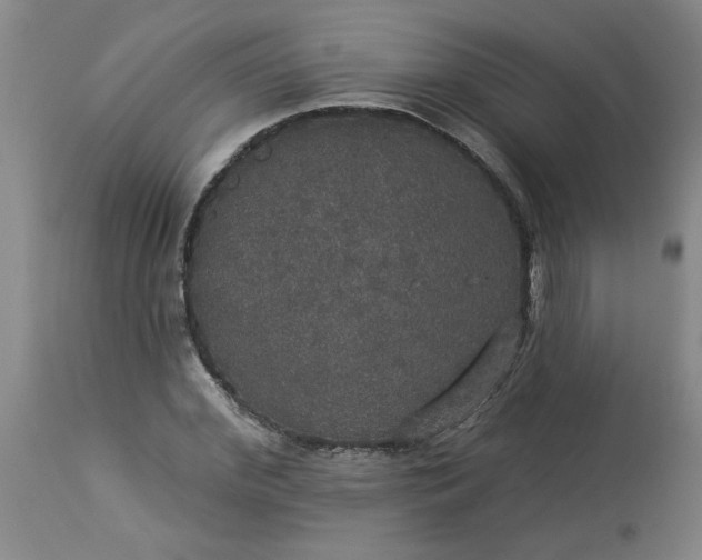 X0000113550972200910021526