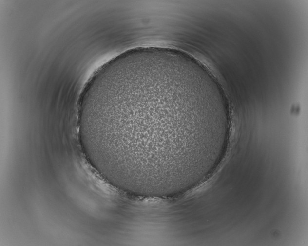 X0000113550974200910021526