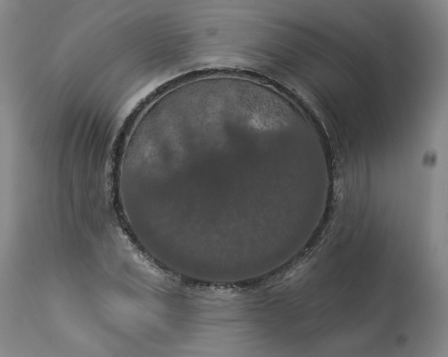 X0000113550975200910021526