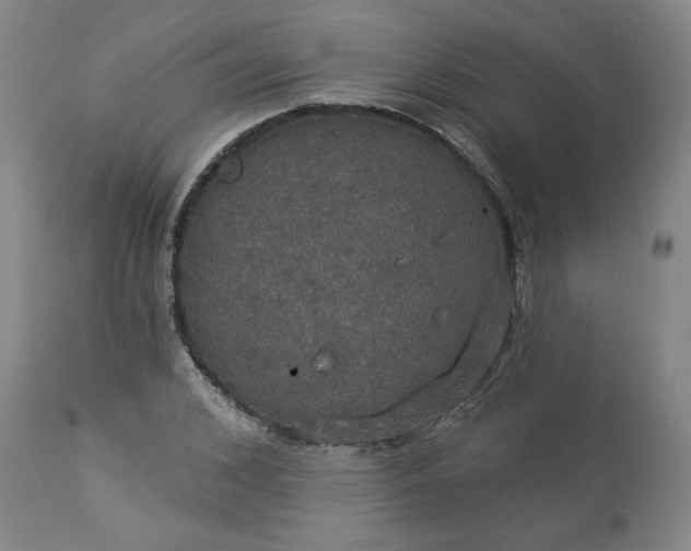 X0000113550976200910021526