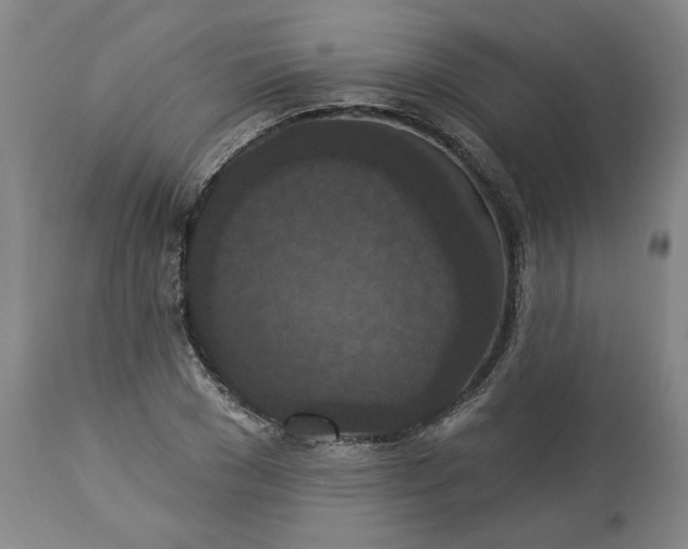 X0000113550977200910021526