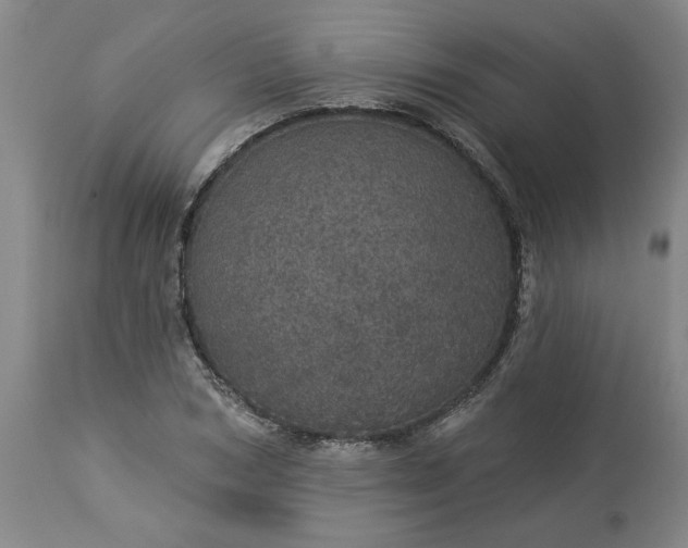 X0000113550978200910021526