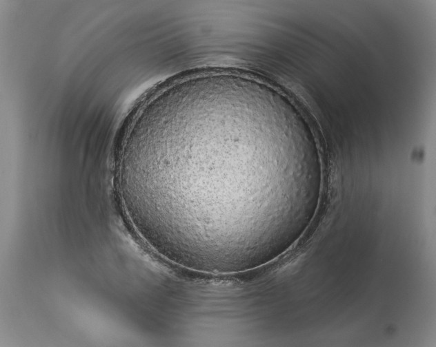 X0000113550979200910021526