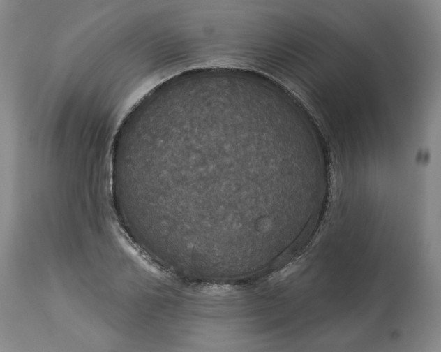 X0000113550982200910021526