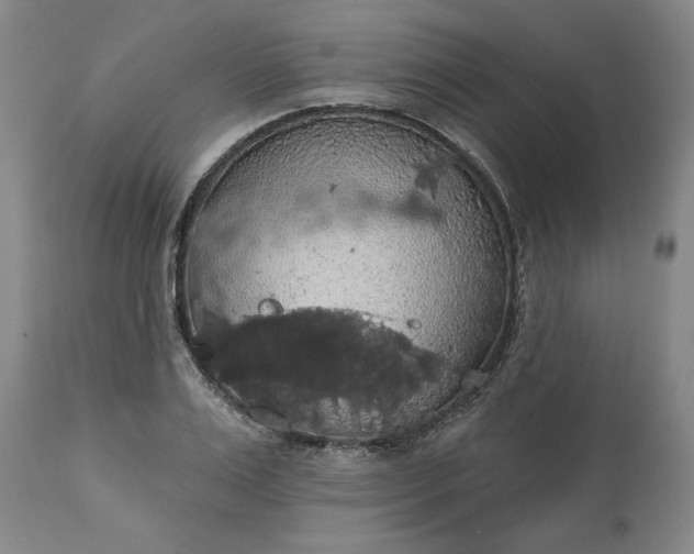 X0000113550983200910021526