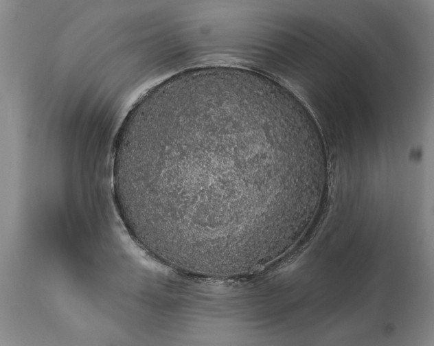 X0000113550987200910021526