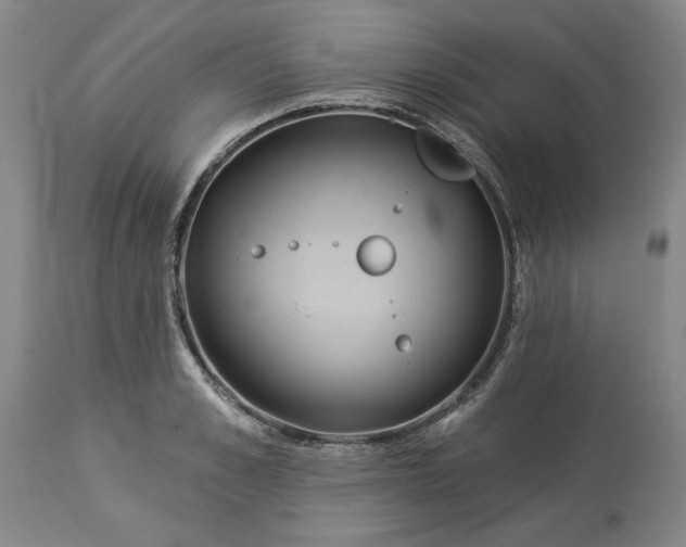 X0000113550989200910021526