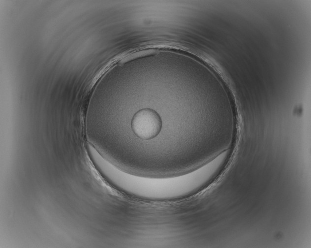 X0000113550993200910021526