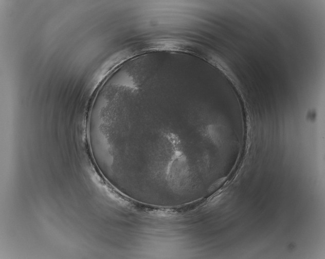 X0000113550994200910021526