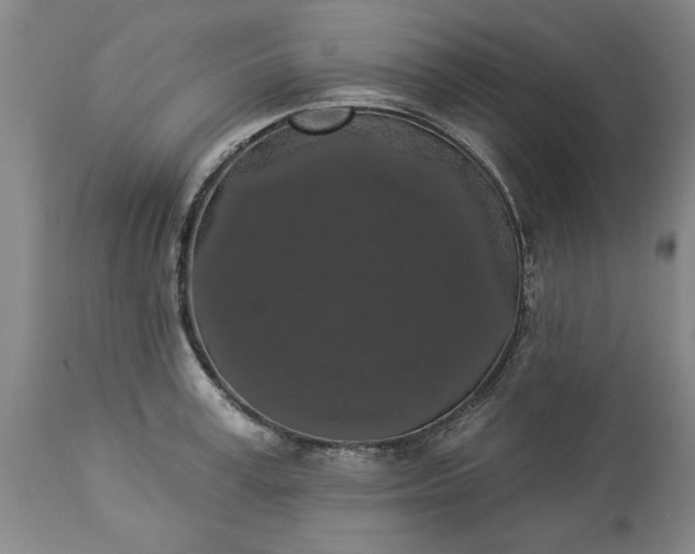 X0000113550995200910021526