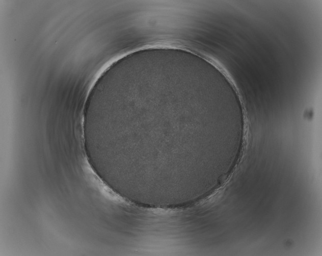 X0000113550996200910021526