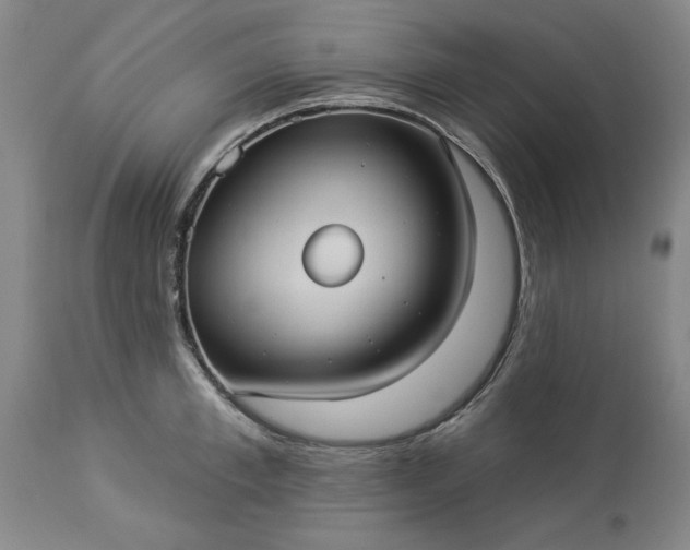 X0000113550997200910021526