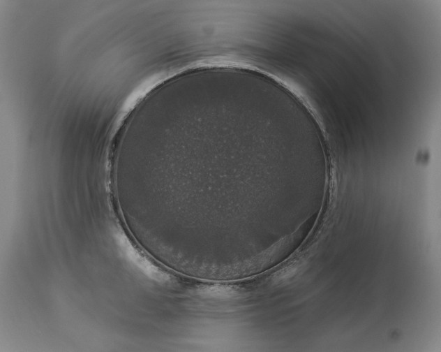 X0000113550998200910021526