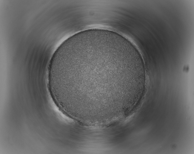 X0000113550999200910021526