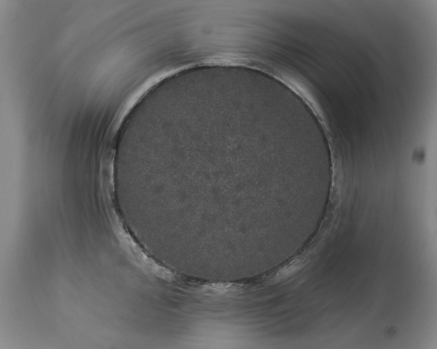 X0000113551000200910021526