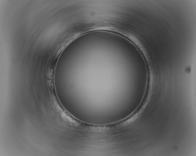 X0000113551001200910021526