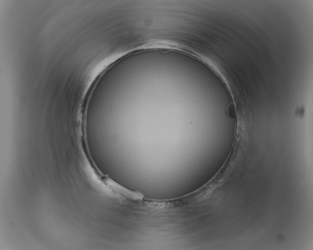 X0000113551003200910021526