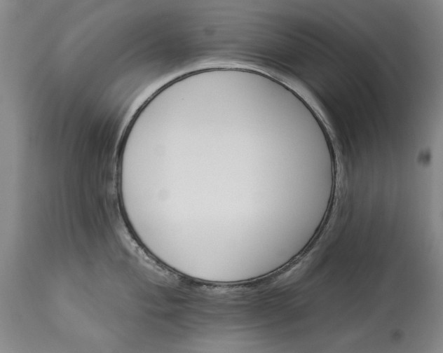 X0000113551004200910021526