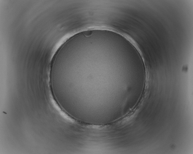 X0000113551005200910021526