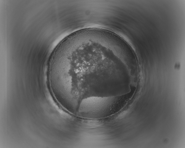 X0000113551007200910021526