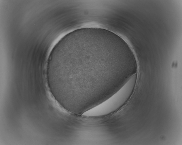 X0000113551008200910021526