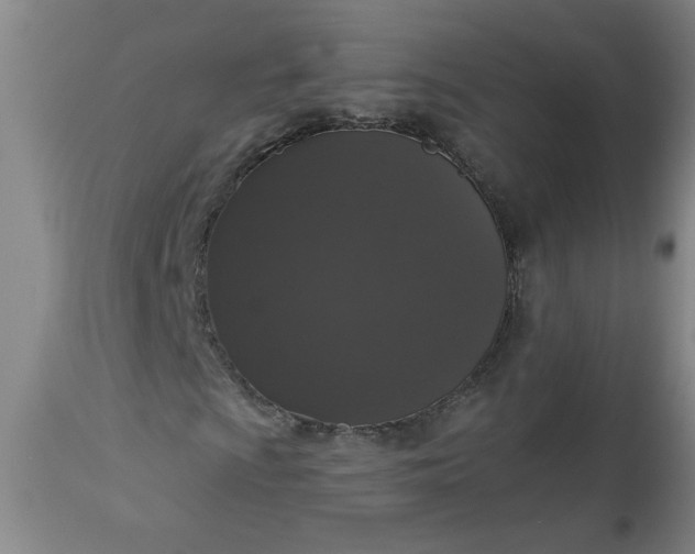 X0000113551009200910021525