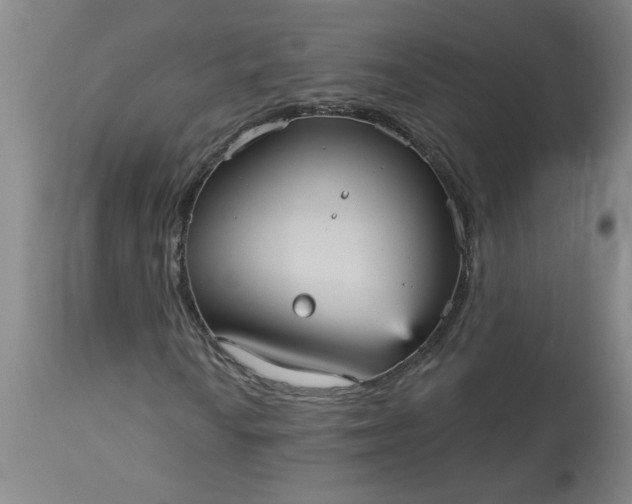 X0000113551010200910021525