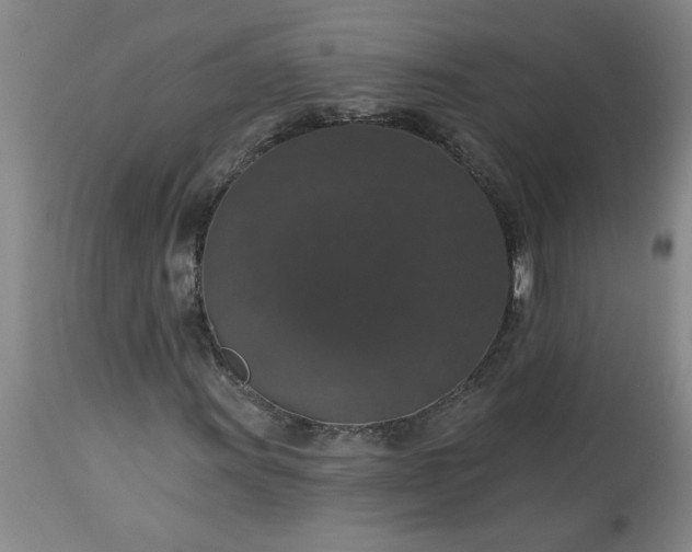 X0000113551011200910021525