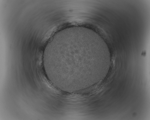 X0000113551012200910021525