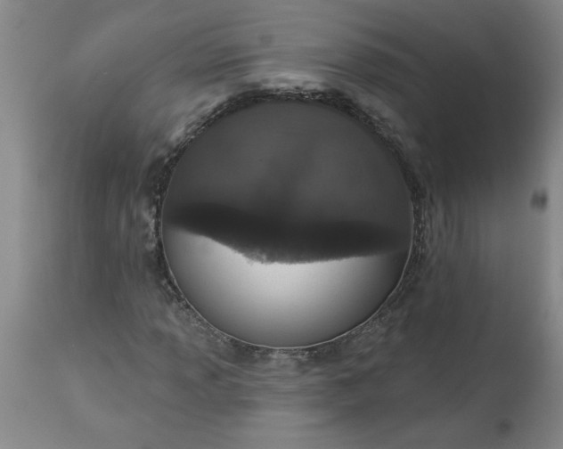 X0000113551013200910021525