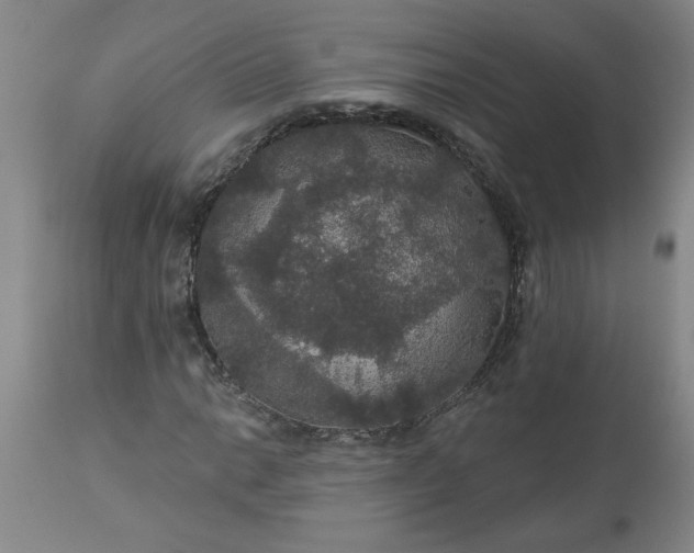 X0000113551014200910021525