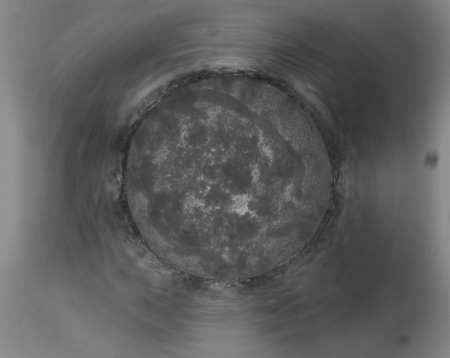 X0000113551015200910021525