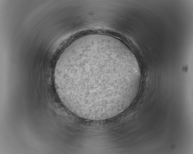 X0000113551016200910021525