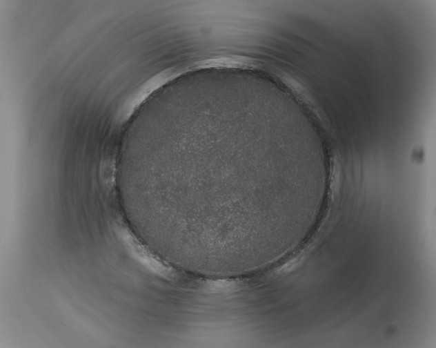 X0000113551017200910021525