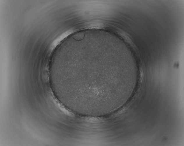 X0000113551018200910021525