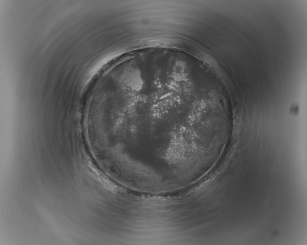 X0000113551019200910021525