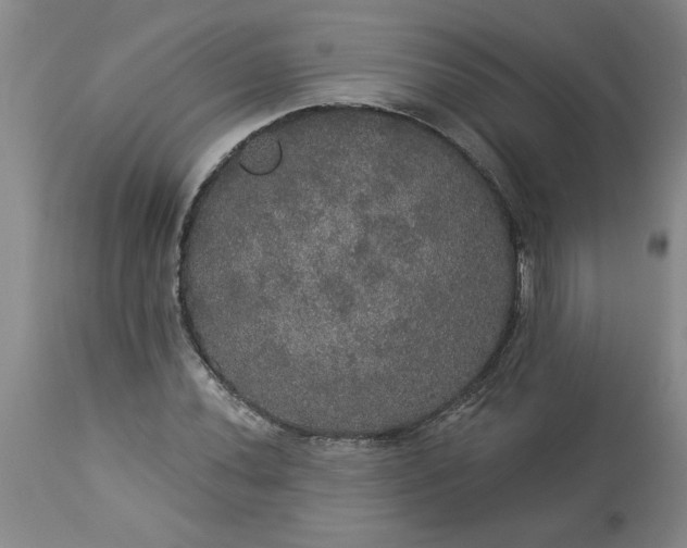 X0000113551020200910021525