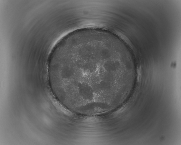 X0000113551021200910021525